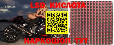 гидра Волжск
