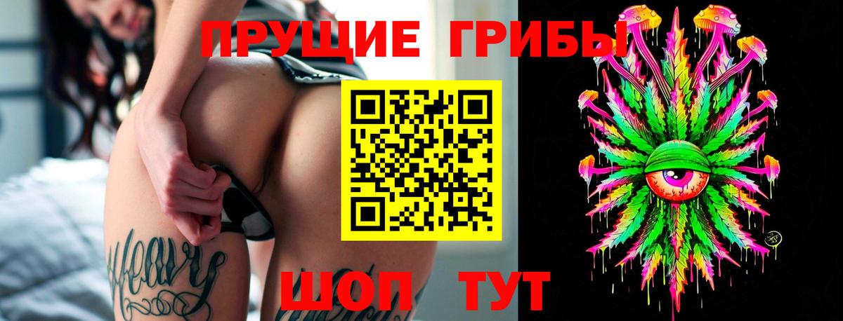 Бийск  Галлюциногенные грибы Psilocybe  Вход с VPN 